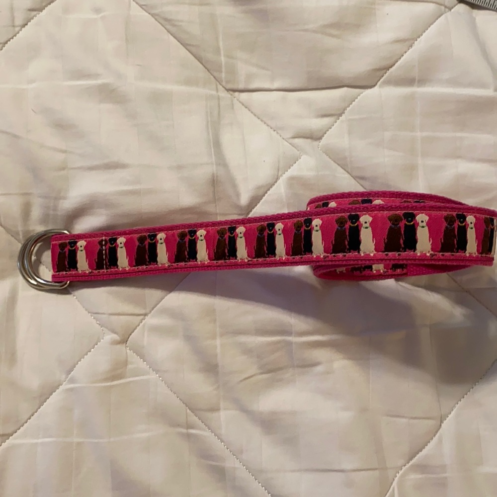 Pink Lab ribbon d ring belt